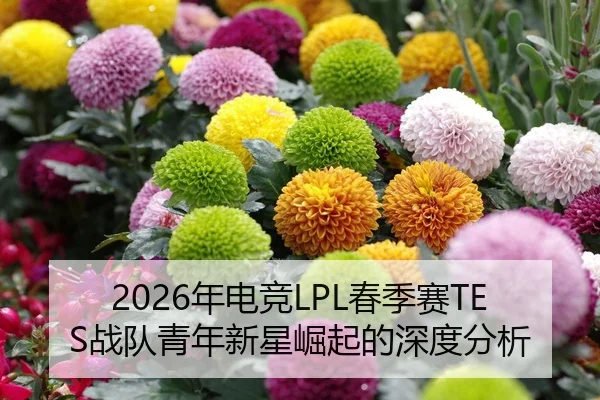 2026年电竞LPL春季赛TES战队青年新星崛起的深度分析