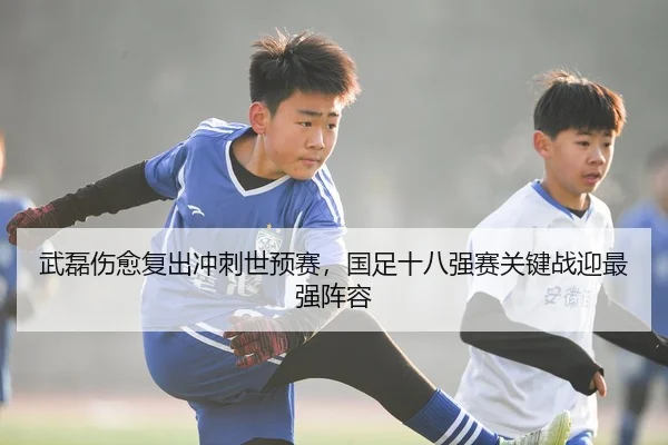 武磊伤愈复出冲刺世预赛，国足十八强赛关键战迎最强阵容