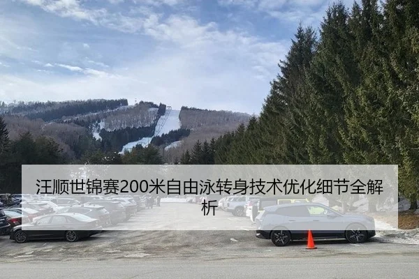 wang-shun-shi-jin-sai-mi-zi-you-yong-zhuan-shen-ji-shu-you-hua-xi-jie-quan-jie-xi-2-128.jpg