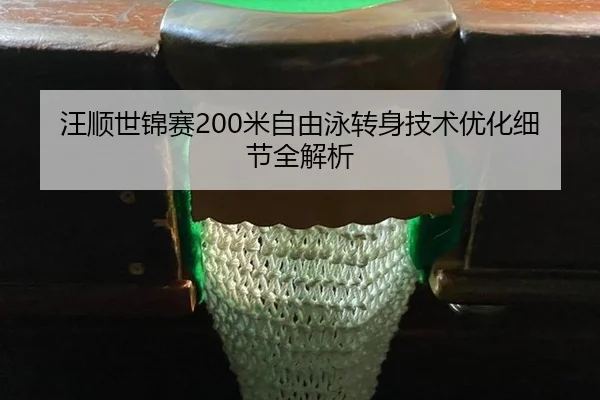 wang-shun-shi-jin-sai-mi-zi-you-yong-zhuan-shen-ji-shu-you-hua-xi-jie-quan-jie-xi-3-300.jpg