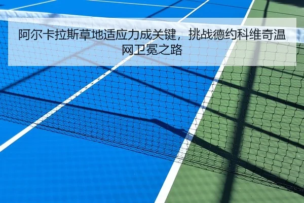 阿尔卡拉斯草地适应力成关键，挑战德约科维奇温网卫冕之路